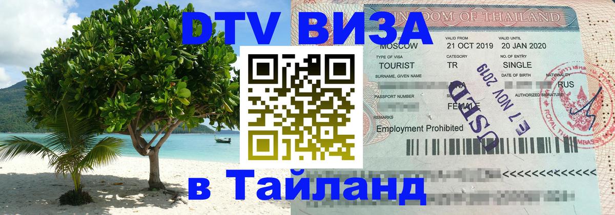 Оформление DTV визы под ключ: стоимость и тарифы, только загранпаспорт - Саранск  03.10.2025 